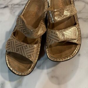Alegría Metallic Champagne Open-Toe Slide Sandals